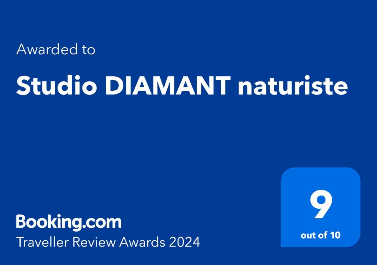 آجد Studio Diamant Naturiste المظهر الخارجي الصورة